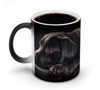 ERSTSNCK Black Labrador Puppy Color Changing Mug 11 Oz Heat Changing Coffee Mugs Funny Magic Cup Heat Sensitive Ceramics Mug Novelty Coffee Cups Personalized Customized Gift Idea for Men & Women