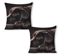 ERSTSNCK Black Labrador Puppy Pillow Covers 18"x18"（2pcs） Linen Throw Pillow Covers - Double Sided Decorative Square Cushion Cases for Sofa, Bed, Chair (No Insert Included)