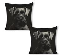 ERSTSNCK Black Schnauzer Dog Pillow Covers 18"x18"（2pcs） Linen Throw Pillow Covers - Double Sided Decorative Square Cushion Cases for Sofa, Bed, Chair (No Insert Included)