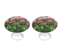 ERSTSNCK Blooming Peach Tulips Cabinet Knobs, 2-Pack Silver Stainless Steel Drawer Pulls with Screws, Elegant Hardware for Dressers, Kitchen,Cabinets & Desks