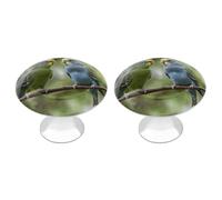 ERSTSNCK Blue and Green Parakeets Cabinet Knobs 2-Pack Silver Stainless Steel Drawer Pulls with Screws Elegant Hardware for Dressers Kitchen Cabinets & Desks