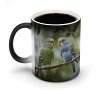 ERSTSNCK Blue And Green Parakeets Color Changing Mug 11 Oz Heat Changing Coffee Mugs Funny Magic Cup Heat Sensitive Ceramics Mug Novelty Coffee Cups Personalized Customized Gift Idea for Men & Women