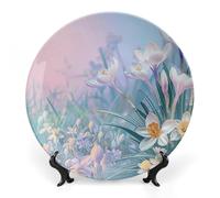 ERSTSNCK - Blue to Peach Gradient Ceramic Decorative Plate 10" Bone China Wall Hanging Boho Dinner Plate with Stand for Decor