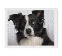ERSTSNCK Border Collie Diamond Painting Kits for Adults 12"x16" 5D Diamond Art Kits for Beginners DIY Full Drill Round Diamonds Gem Art Crafts Painting for Home Wall Decor