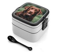 ERSTSNCK Brown Labrador Retriever Bento Box 1000ml Leak Proof Lunch Container with Removable Dividers & Spoon - BPA-Free PP Stackable Lunch Box for Work, Office, Picnic, Travel, Dining Out