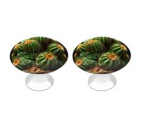 ERSTSNCK Cacti and Succulents Cabinet Knobs, 2-Pack Silver Stainless Steel Drawer Pulls with Screws, Elegant Hardware for Dressers, Kitchen,Cabinets & Desks