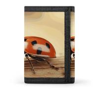 ERSTSNCK Cartoon Boston Terrier Face Trifold Wallet Front Pocket Coin Purse - Slim Credit Card Holder for Men & Women, Orange ladybug on beige background, One Size, Classic