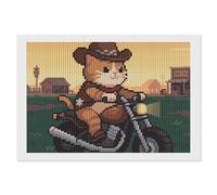 ERSTSNCK Cat Riding A Motorcycle Diamond Painting Kits for Adults 8"x12" 5D Diamond Art Kits for Beginners DIY Full Drill Round Diamonds Gem Art Crafts Painting for Home Wall Decor