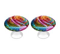 ERSTSNCK Colorful Rose with Water Cabinet Knobs, 2-Pack Silver Stainless Steel Drawer Pulls with Screws, Elegant Hardware for Dressers, Kitchen,Cabinets & Desks