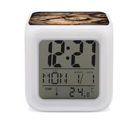 ERSTSNCK Compass and Old World Map Night Light Alarm Clock LED Display Alarms for Bedroom Smart Digital Alarm Clock Wtih 7 Colorful Ambient Lights Sleep Timer for Heavy Sleepers Simple Operation