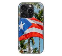 ERSTSNCK Compatible with iPhone 15 Case Puerto Rico Flags Frog Palm Trees Stylish Phone Case for Women Men, Tempered Glass Shockproof Slim Cover for 15 Pro Black