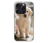 ERSTSNCK Compatible with iPhone 15 Case Sunny Windowsill Dog Stylish Phone Case for Women Men, Tempered Glass Shockproof Slim Cover for 15 Pro Black