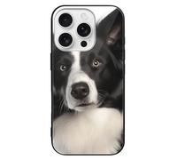 ERSTSNCK Compatible with iPhone 16 Case Border Collie Stylish Phone Case for Women Men, Tempered Glass Shockproof Slim Cover for 16 Pro Black