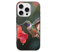 ERSTSNCK Compatible with iPhone 16 Case Hummingbird Hover Stylish Phone Case for Women Men, Tempered Glass Shockproof Slim Cover for 16 Pro Black