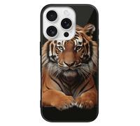 ERSTSNCK Compatible with iPhone 16 Case with Tiger and Paws Stylish Phone Case for Women Men, Tempered Glass Shockproof Slim Cover for 16 Pro Black