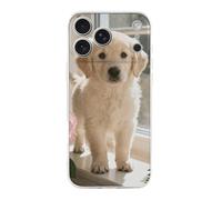 ERSTSNCK Compatible with iPhone 17 Case Sunny Windowsill Dog Stylish Phone Case for Women Men TPU Shockproof Slim Cover for 17 Pro Transparent