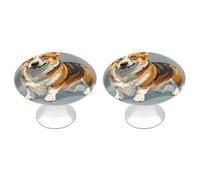 ERSTSNCK Corgi Pattern Corgi Pattern Cabinet Knobs, 2-Pack Silver Stainless Steel Drawer Pulls with Screws, Elegant Hardware for Dressers, Kitchen,Cabinets & Desks