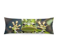 ERSTSNCK Crown Frog Body Pillow Pillowcase 20"x54" Lumbar Throw Pillow Covers with Hidden Zipper Breathable & Cozy Full Long Bodypillow Case Cover for Sleeping Bedroom Couch Sofa Decor