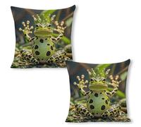 ERSTSNCK Crown Frog Pillow Covers 18"x18"（2pcs） Linen Throw Pillow Covers - Double Sided Decorative Square Cushion Cases for Sofa, Bed, Chair (No Insert Included)
