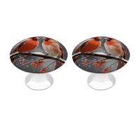 ERSTSNCK Cute Cardinal Birds Cabinet Knobs 2-Pack Silver Stainless Steel Drawer Pulls with Screws Elegant Hardware for Dressers Kitchen Cabinets & Desks
