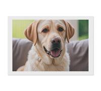 ERSTSNCK Cute Labrador Dog Diamond Painting Kits for Adults 8"x12" 5D Diamond Art Kits for Beginners DIY Full Drill Round Diamonds Gem Art Crafts Painting for Home Wall Decor