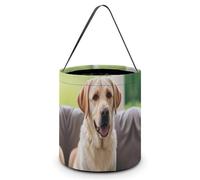 ERSTSNCK Cute Labrador Dog Halloween Candy Buckets Reusable Tote Candy Bag - Trick Or Treat Goody Bag with Handles