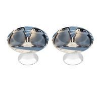 ERSTSNCK Cute Penguins Cabinet Knobs, 2-Pack Silver Stainless Steel Drawer Pulls with Screws, Elegant Hardware for Dressers, Kitchen,Cabinets & Desks