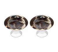 ERSTSNCK Cute Raccoon Cabinet Knobs, 2-Pack Silver Stainless Steel Drawer Pulls with Screws, Elegant Hardware for Dressers, Kitchen,Cabinets & Desks