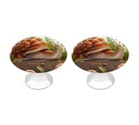 ERSTSNCK Cute Snail Cabinet Knobs, 2-Pack Silver Stainless Steel Drawer Pulls with Screws, Elegant Hardware for Dressers, Kitchen,Cabinets & Desks