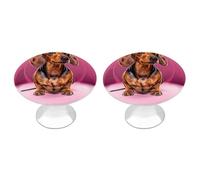 ERSTSNCK Dachshund Weiner Dog Cabinet Knobs 2-Pack Silver Stainless Steel Drawer Pulls with Screws Elegant Hardware for Dressers Kitchen Cabinets & Desks