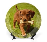 ERSTSNCK Dog And Bone Ceramic Decorative Plate 7inch Bone China Wall Hanging Ornament Plates Bohemian Style Dinner Plate with Stand Cabinet Display Plates for Home Art Decor