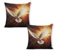 ERSTSNCK Dove Sun Art Pillow Covers 18"x18"（2pcs） Linen Throw Pillow Covers - Double Sided Decorative Square Cushion Cases for Sofa, Bed, Chair (No Insert Included)