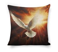 ERSTSNCK Dove Sun Art Pillow Covers 18"x18" Linen Throw Pillow Covers - Double Sided Decorative Square Cushion Cases for Sofa, Bed, Chair (No Insert Included)