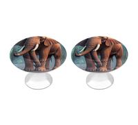 ERSTSNCK Elephants Red Cabinet Knobs, 2-Pack Silver Stainless Steel Drawer Pulls with Screws, Elegant Hardware for Dressers, Kitchen,Cabinets & Desks