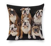 ERSTSNCK English Bulldogs Pillow Covers 18"x18" Linen Throw Pillow Covers - Double Sided Decorative Square Cushion Cases for Sofa, Bed, Chair (No Insert Included)
