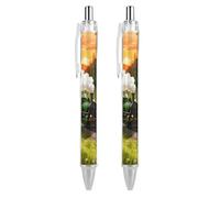 ERSTSNCK Forest Steam Car Black Ballpoint Pens Fine Point (0.5mm) Black Ink Pen Retractable Ball Point Pens with Comfortable Full Grip for Journaling, And Office Writing Ideal 2 PCS