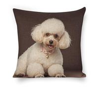 ERSTSNCK French Poodle Pillow Covers 18"x18" Linen Throw Pillow Covers - Double Sided Decorative Square Cushion Cases for Sofa, Bed, Chair (No Insert Included)