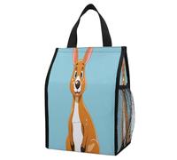 ERSTSNCK Funny Cartoon Kangaroo Zoo Insulated Lunch Bag Leakproof Insulated Cooler Bags Reusable Cooler Tote Foldable Lunchbox for Adult Women Men for Work Travel Picnic