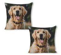 ERSTSNCK Funny Golden Retriever Pillow Covers 18"x18"（2pcs） Linen Throw Pillow Covers - Double Sided Decorative Square Cushion Cases for Sofa, Bed, Chair (No Insert Included)