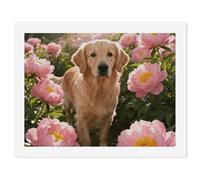 ERSTSNCK Golden Retriever & Daisy Paint by Numbers for Adults Beginner 30x40cm DIY Painting Kit with HD Canvas & Acrylic Paints, Complete Crafts Set for Home Decor, Gifts, Stress Relief