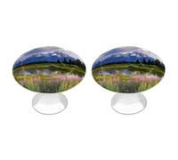 ERSTSNCK Grand Teton National Park Cabinet Knobs 2-Pack Silver Stainless Steel Drawer Pulls with Screws Elegant Hardware for Dressers Kitchen Cabinets & Desks