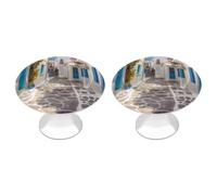 ERSTSNCK Greece Street Cabinet Knobs 2-Pack Silver Stainless Steel Drawer Pulls with Screws Elegant Hardware for Dressers Kitchen Cabinets & Desks