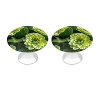 ERSTSNCK Green Floral Cabinet Knobs, 2-Pack Silver Stainless Steel Drawer Pulls with Screws, Elegant Hardware for Dressers, Kitchen,Cabinets & Desks