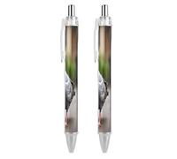 ERSTSNCK Grey Pigeon Black Ballpoint Pens Fine Point (0.5mm) Black Ink Pen Retractable Ball Point Pens with Comfortable Full Grip for Journaling, And Office Writing Ideal 2 PCS