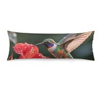 ERSTSNCK Hummingbird Hover Body Pillow Pillowcase 20"x54" Lumbar Throw Pillow Covers with Hidden Zipper Breathable & Cozy Full Long Bodypillow Case Cover for Sleeping Bedroom Couch Sofa Decor