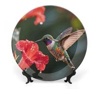 ERSTSNCK Hummingbird Hover Ceramic Decorative Plate 8inch Bone China Wall Hanging Ornament Plates Bohemian Style Dinner Plate with Stand Cabinet Display Plates for Home Art Decor