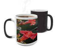 ERSTSNCK Hummingbird Hover Color Changing Mug Heat Changing Coffee Mug Funny Magic Cup Heat Sensitive Travel Mugs Novelty Coffee Cups Personalized Customized Gift for Men Women 11 Oz