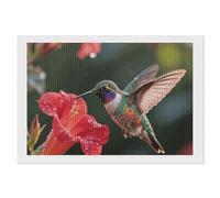 ERSTSNCK Hummingbird Hover Diamond Painting Kits for Adults 8"x12" 5D Diamond Art Kits for Beginners DIY Full Drill Round Diamonds Gem Art Crafts Painting for Home Wall Decor