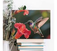 ERSTSNCK Hummingbird Hover Wall Decor For Living Room Large Canvas Wall Art For Bedroom Modern Office Pictures Wall Artwork Landscape Paintings Canvas Art Prints Home Decorations 16x12inch(40x30cm)
