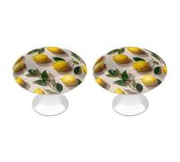 ERSTSNCK Lemon Pattern Cabinet Knobs, 2-Pack Silver Stainless Steel Drawer Pulls with Screws, Elegant Hardware for Dressers, Kitchen,Cabinets & Desks